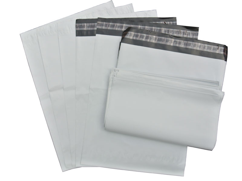 SECUREMENT® Plain Courier Poly Bags Pod, 8x6-Inch Pack of 100 : Amazon.in:  Industrial & Scientific